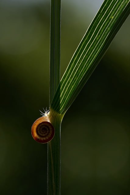 Free Nature Landscape photo and picture