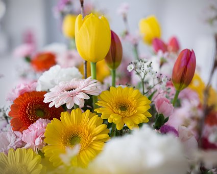 Free Flowers Flower Wallpaper photo and picture