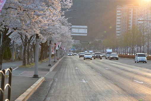 Free Korea Daegu photo and picture
