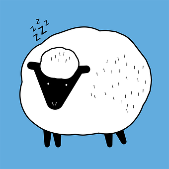 Free Sheep Drawing vector and picture