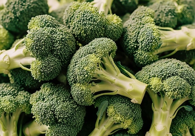 Free Broccoli Vegetables photo and picture