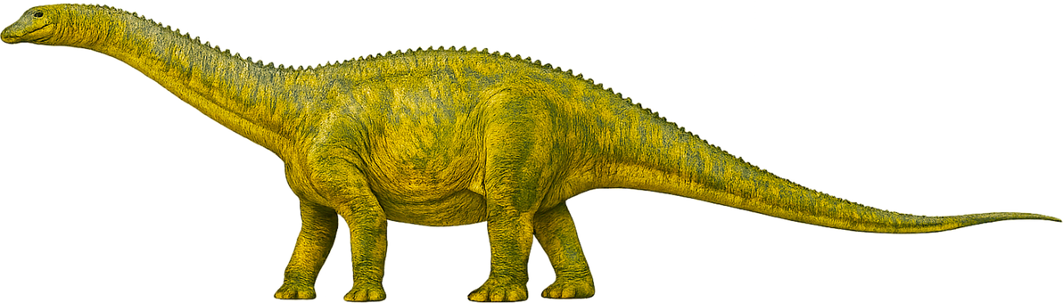 Free Diplodocus Giant Sauropod illustration and picture