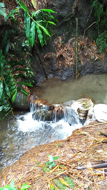 Free Freshwater Stream Natural Waterfall photo and picture