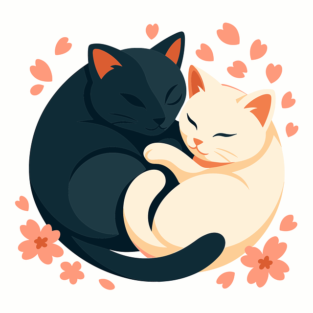 Free cat cuddle snuggle vector