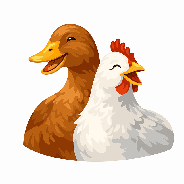 Free duck chicken poultry illustration