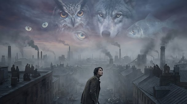 Tierwelt, Tierische Augen, Umgebung