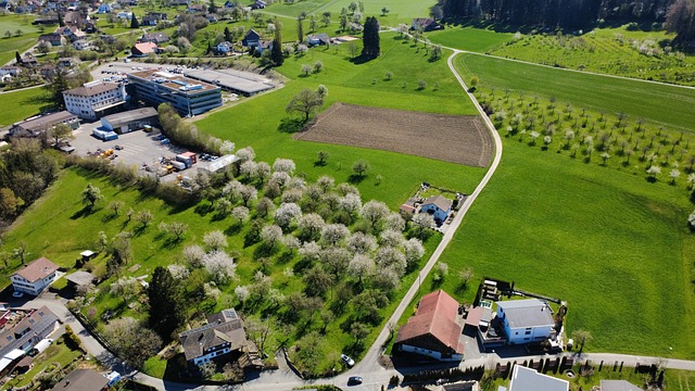Free Village Field photo and picture