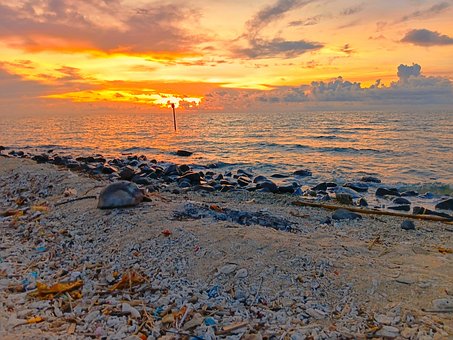 Sonnenuntergang, Ozean, Strand, Himmel