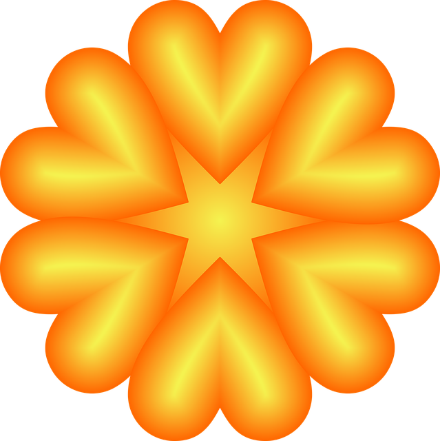 Free Flower Orange photo and picture