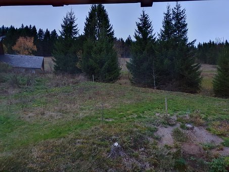 Free Feldberg Black Forest photo and picture