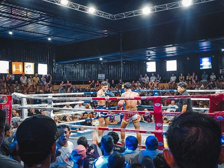 Free Boxing Sports photo and picture