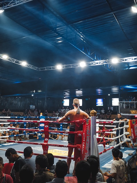 Free Boxing Sports photo and picture