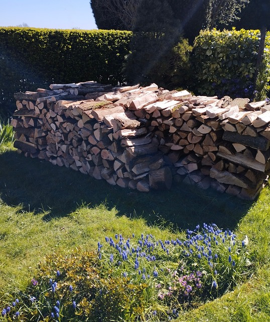 Drikke, Brænde, Logs, Træstammer