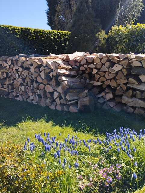 Drikke, Brænde, Varmeapparat, Logs