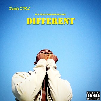 Album Muzical, Rap, Hip Hop