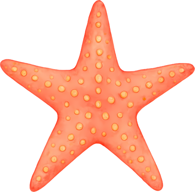 Free starfish sea star coral starfish illustration