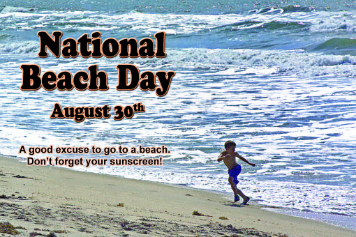 Free Beach Ocean illustration and picture