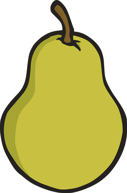 Free Pear Fruit vector and picture