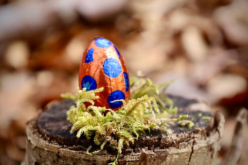 Ostern, Bunt, Ei, Schokolade, Wald
