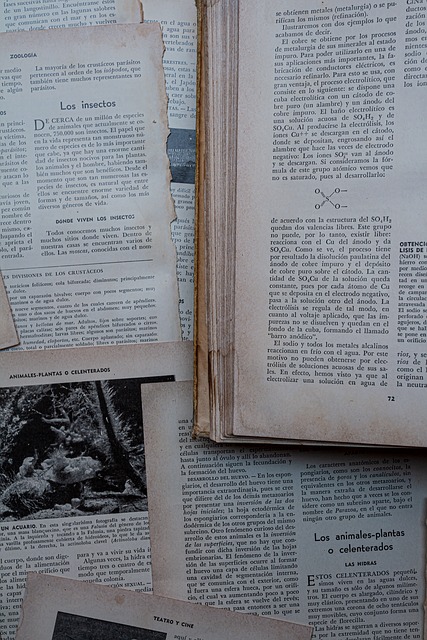 Libro, Vintage, Viejo, Papel, Literatura