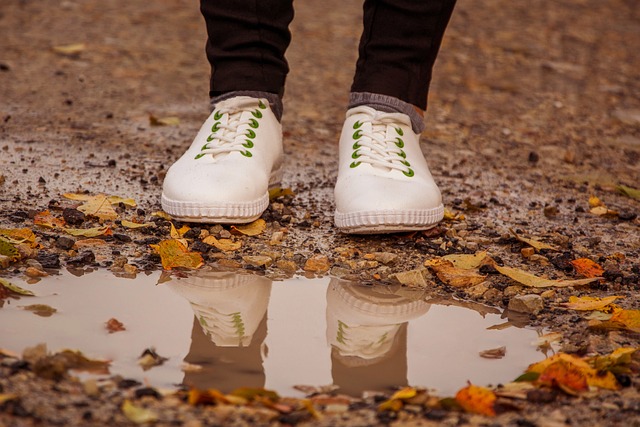 Free Shoes Running photo and picture