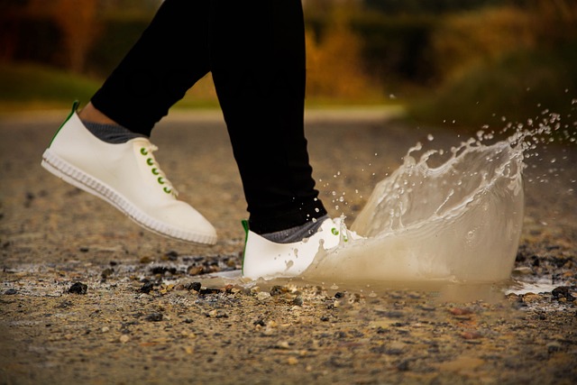 Free Shoes Running photo and picture