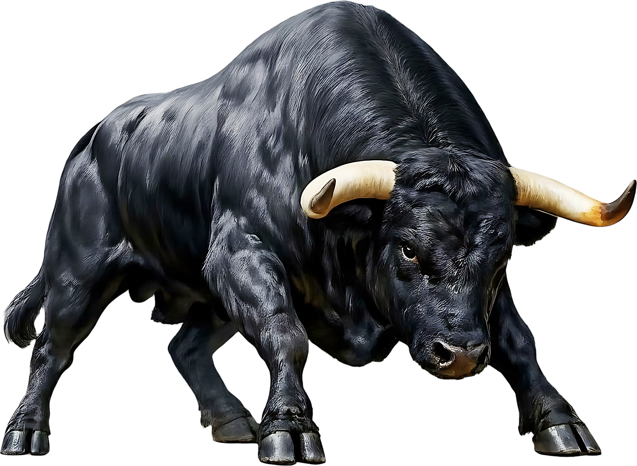 Download Spanish Bull, Andalusian Bull, Iberian Bull. Royalty-Free ...