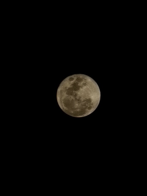 Free Moon Full Moon photo and picture