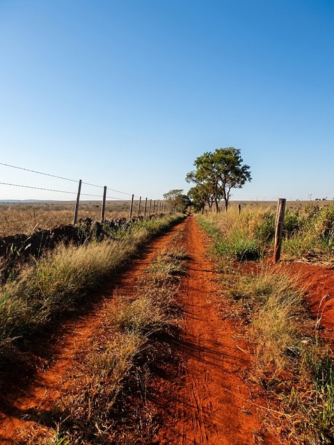 Natuur, Landschap, Pad, Braziliaans