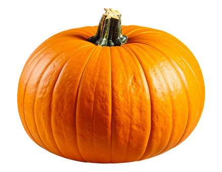 Free Pumpkin Halloween photo and picture