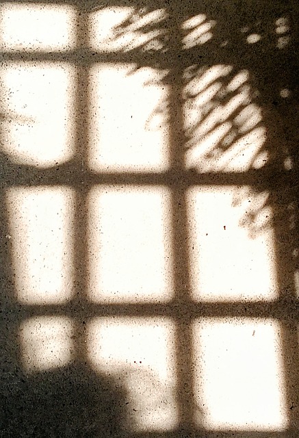 Schatten, Blätter, Fenster, Gitter