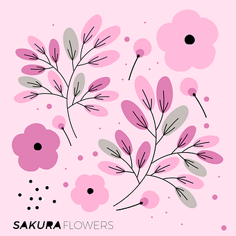 Free Sakura Flowers vector and picture