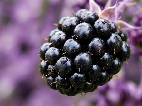 Braambes, Fruit, Groen, Natuur