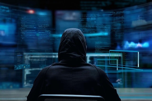 Hacker, Securitate Cibernetică