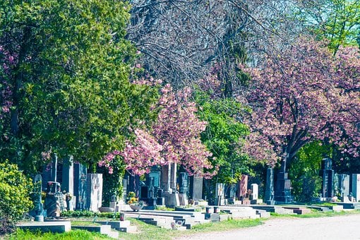 Jaro, Hřbitov, Graves, Centrální Hřbitov