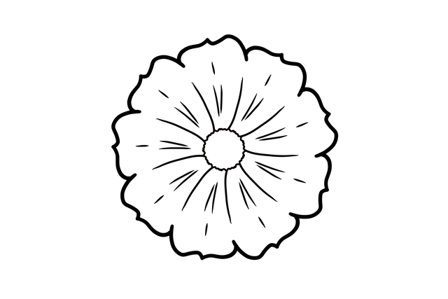 Free flower simple drawing illustration