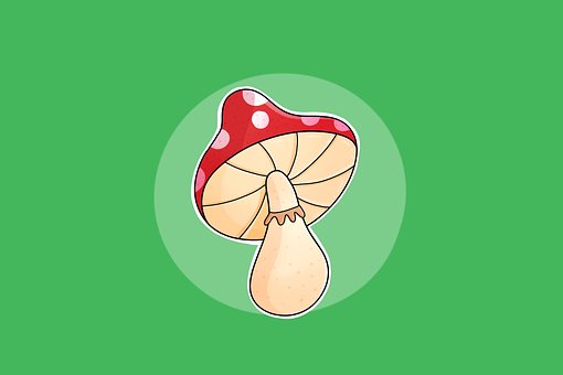 Frumoasa, Ciupercă, Amanita, Roșu, Alb