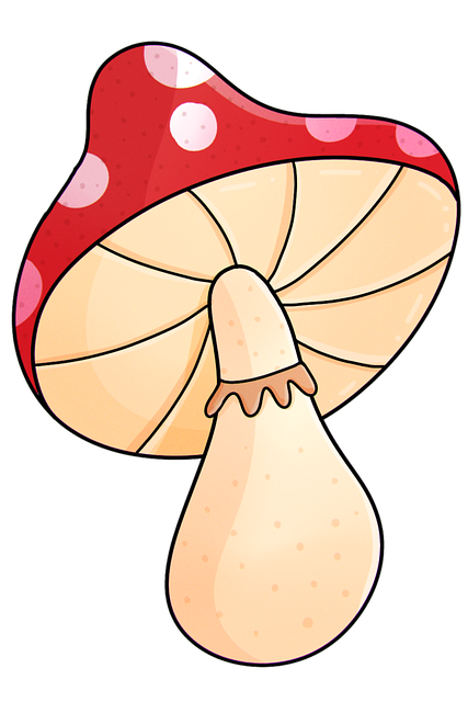 Ciupercă, Amanita, Roșu, Alb, Pete
