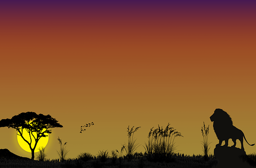 Silhueta, Leão, Pôr Do Sol, Savanas