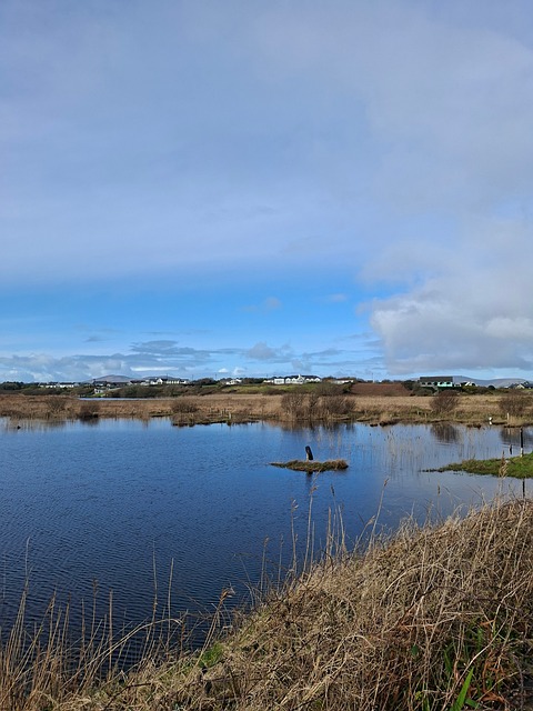 Free Nature Lake photo and picture