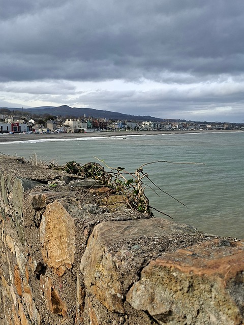 Free Coast Sea photo and picture