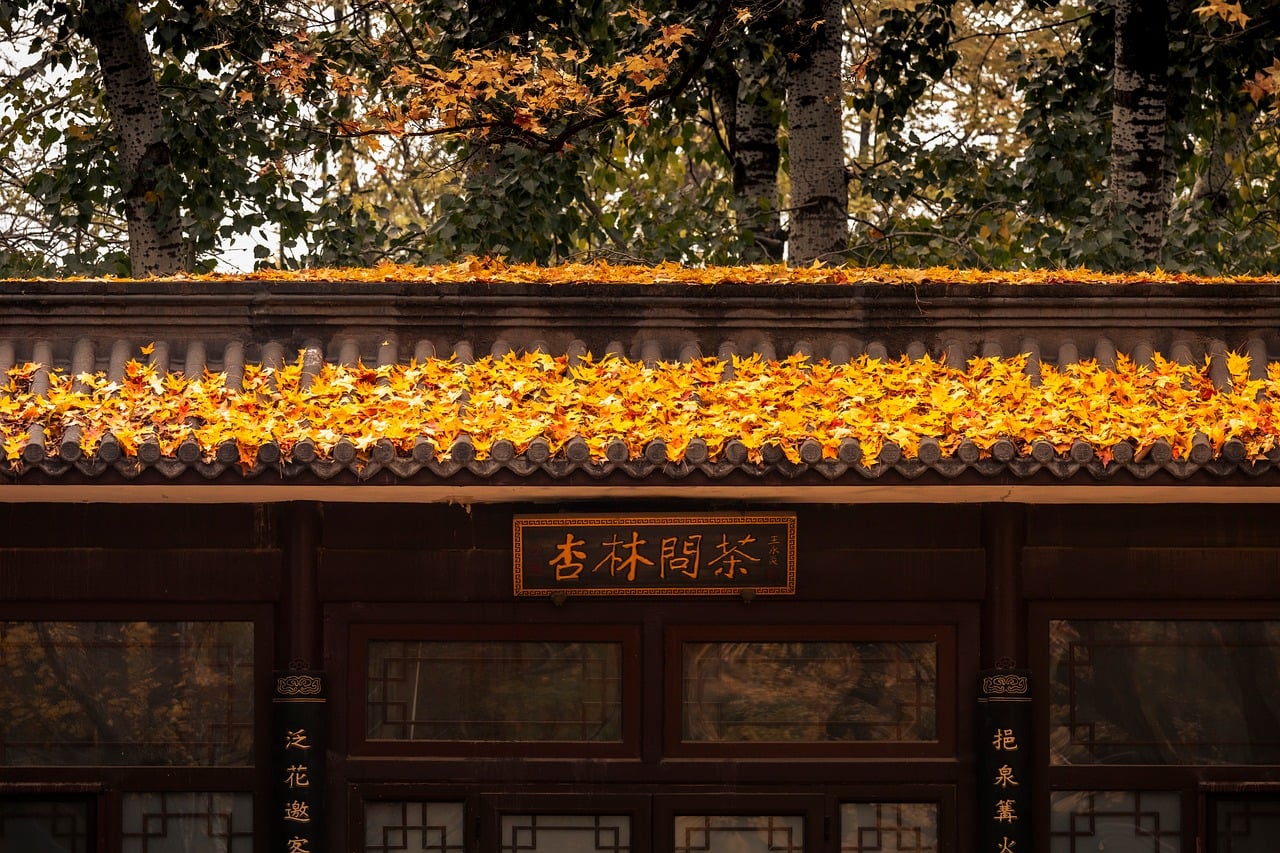Leaves - free online jigsaw puzzle photo