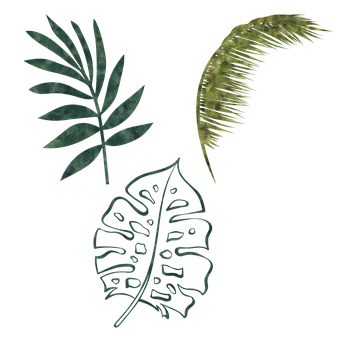Free Leaf Green illustration and picture