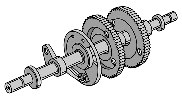 Free Shaft Gear vector and picture