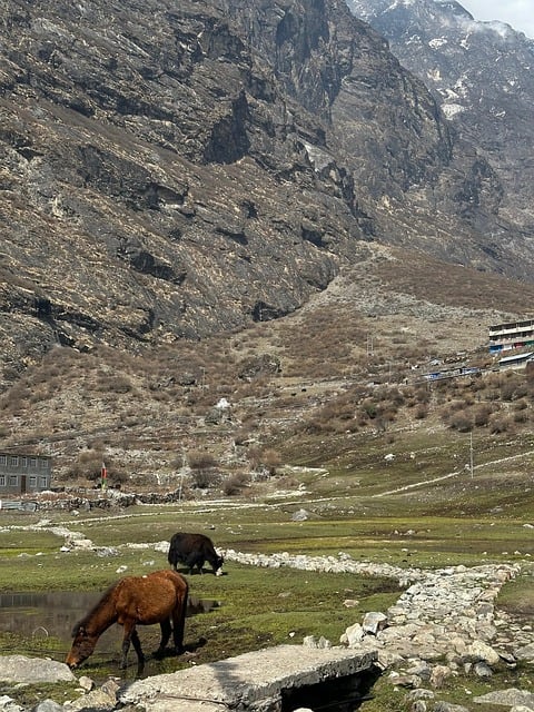 Free Mountains Nepal photo and picture
