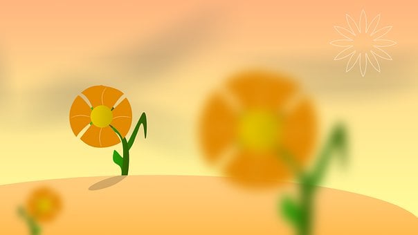 Orange, Gelb, Natur, Blüte, Blume