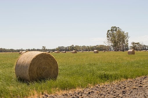 Høyball, Gård, Landskap, Åker, Natur