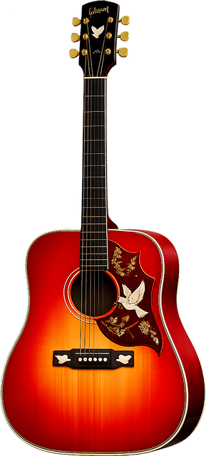 Free Acoustic Guitar Western Guitar photo and picture