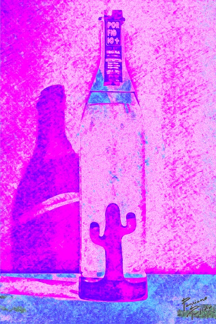 Free Neon Cactus photo and picture