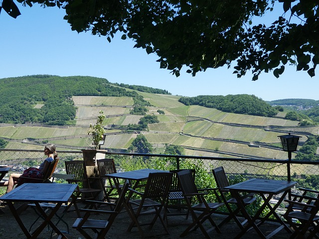 Free Vineyard Tables And Chairs photo and picture